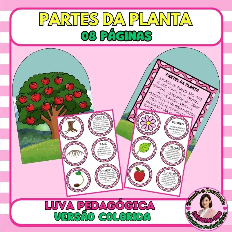 Luva Partes da Planta