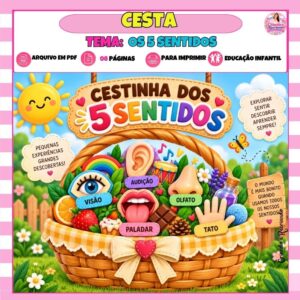 Cestinha dos 5 Sentidos Cestinha dos 5 Sentidos