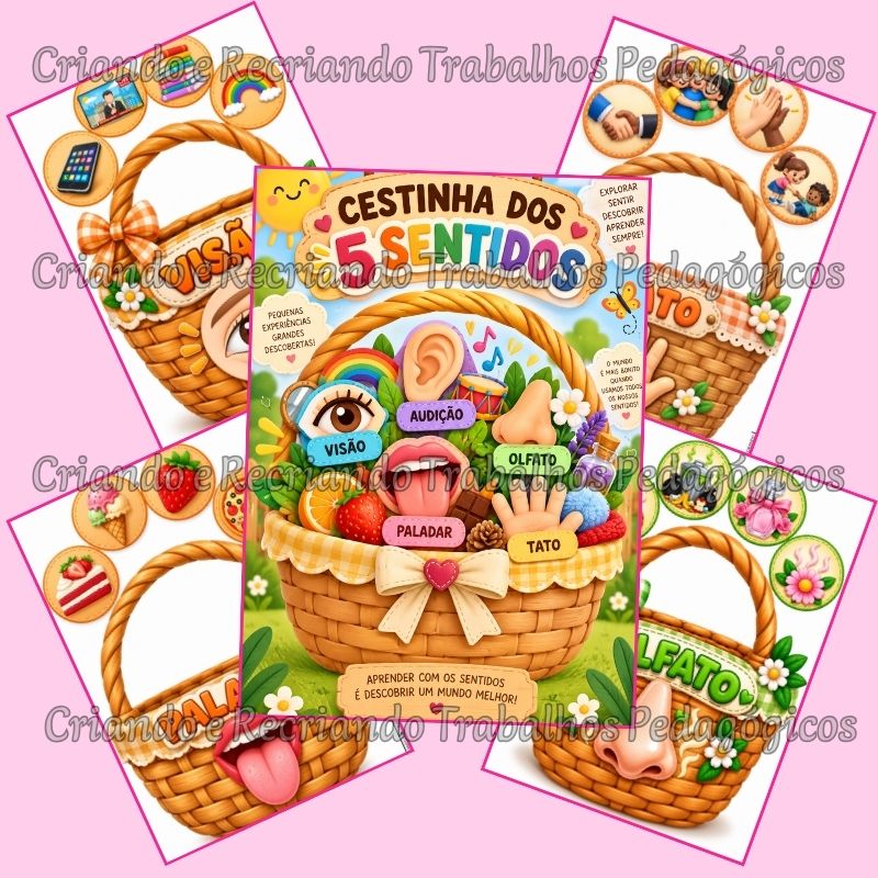 Cestinha dos 5 Sentidos Cestinha dos 5 Sentidos - Imagem 2