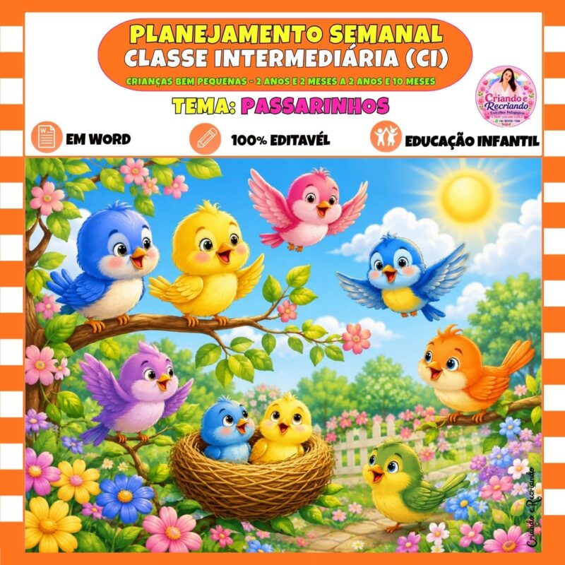 Planejamento Classe Intermediária – Passarinhos