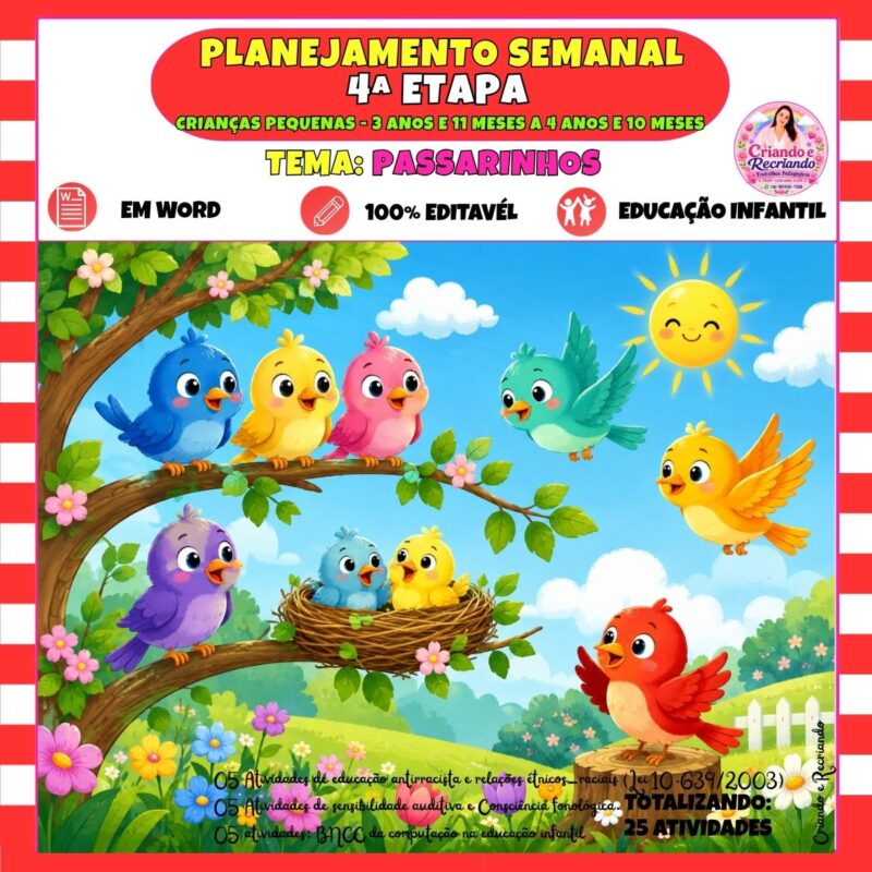 Planejamento 4ª Etapa – Passarinhos