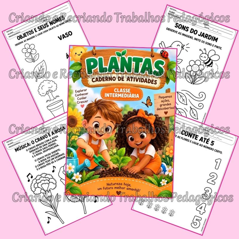Caderno de Atividades – Plantas – Classe Intermediária Caderno de Atividades – Plantas – Classe Intermediária - Imagem 3