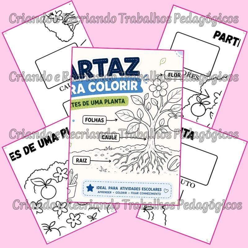 Cartaz para Colorir – Partes de uma Planta Cartaz para Colorir – Partes de uma Planta - Imagem 3