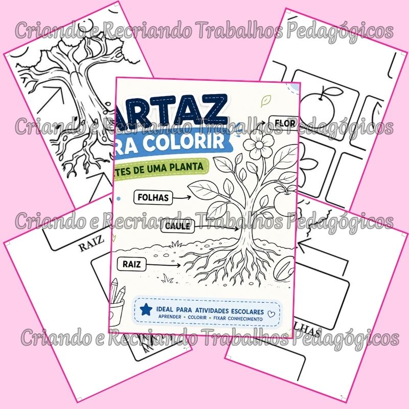 Cartaz para Colorir – Partes de uma Planta Cartaz para Colorir – Partes de uma Planta - Imagem 2