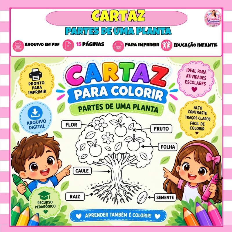 Cartaz para Colorir – Partes de uma Planta