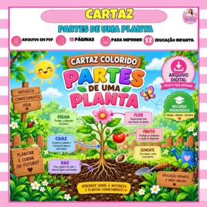 Cartaz Colorido Partes de uma Planta