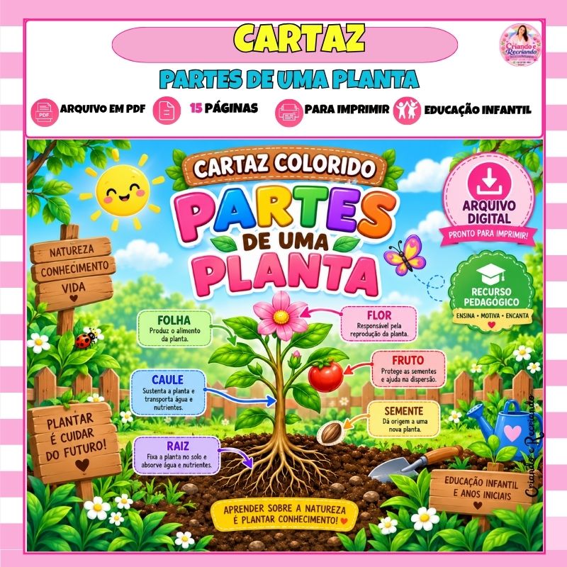 Cartaz Colorido Partes de uma Planta