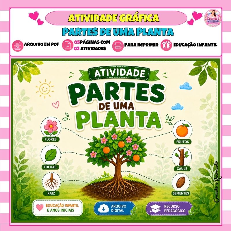 Atividade Gráfica - Partes de uma Planta