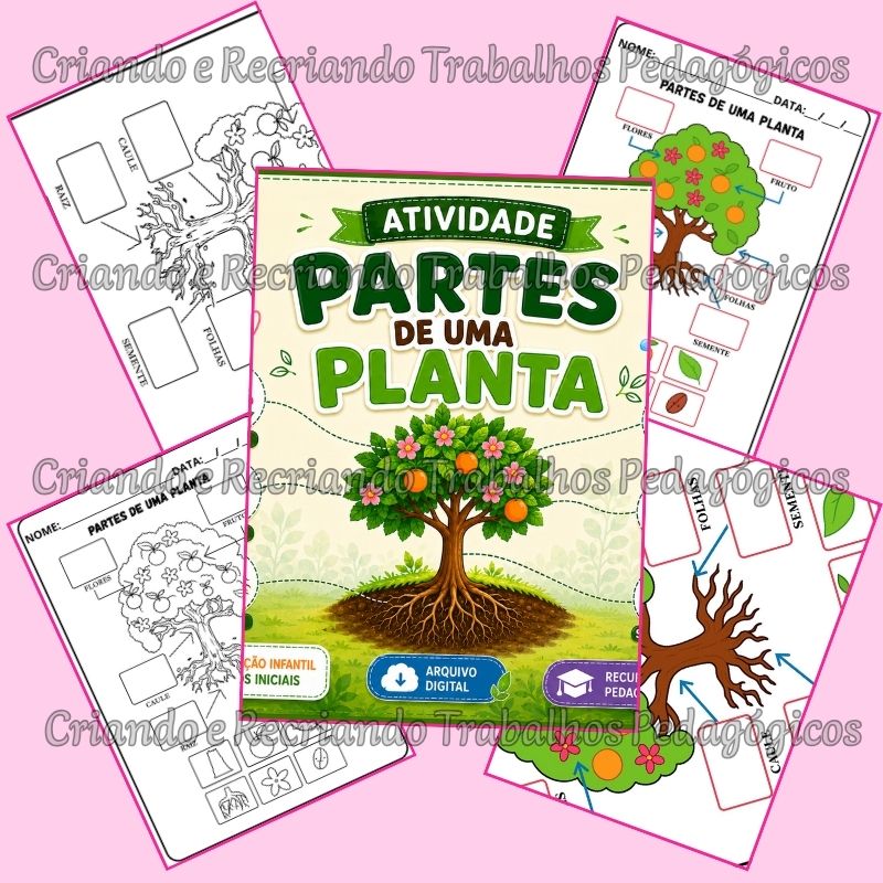 Atividade Gráfica - Partes de uma Planta Atividade Gráfica - Partes de uma Planta - Imagem 3