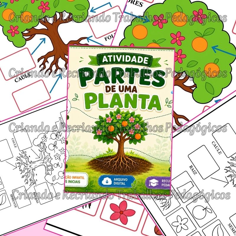 Atividade Gráfica - Partes de uma Planta Atividade Gráfica - Partes de uma Planta - Imagem 2